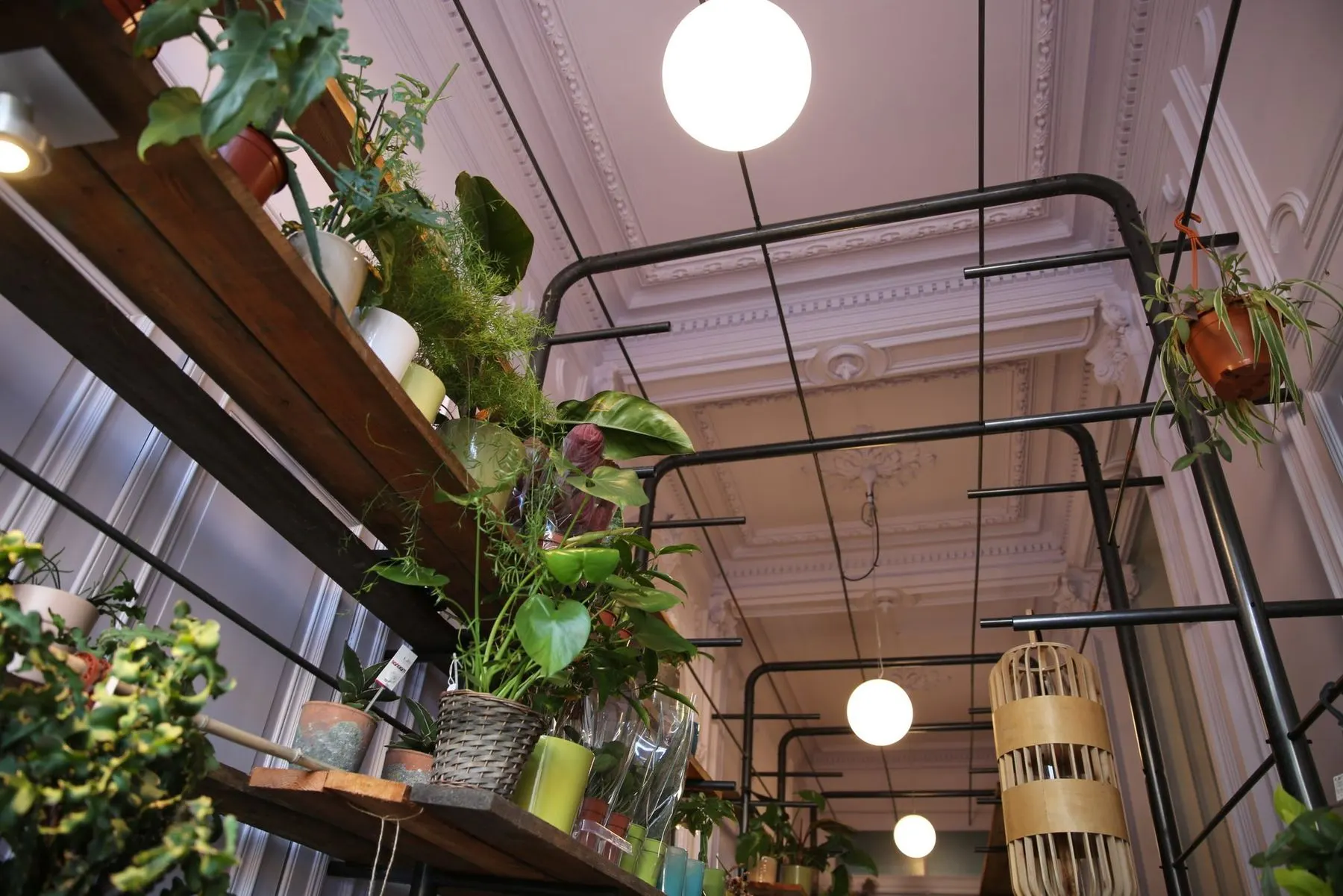 17014 Mr Bouquet Sint Vincentiusstraat Antwerpen – Plantenrekken, inkomdeur (5)